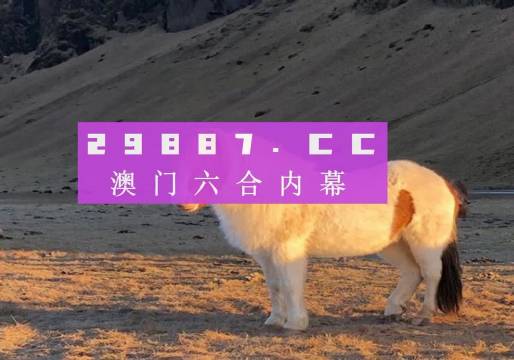 王中王的传奇之路——一肖、特码与独特风采