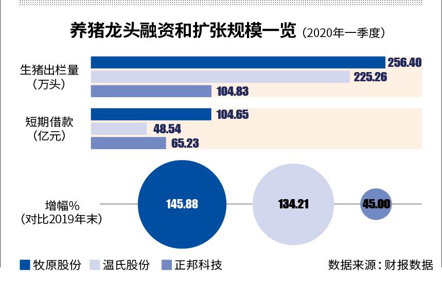 期货软件下载排行榜——如何选择最适合您的交易工具