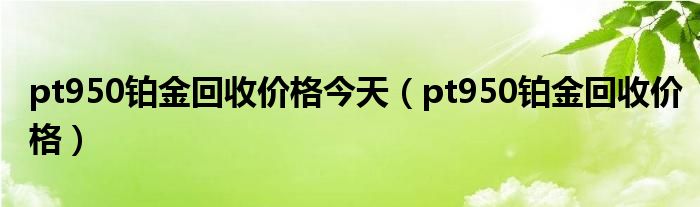 职业选择 第282页