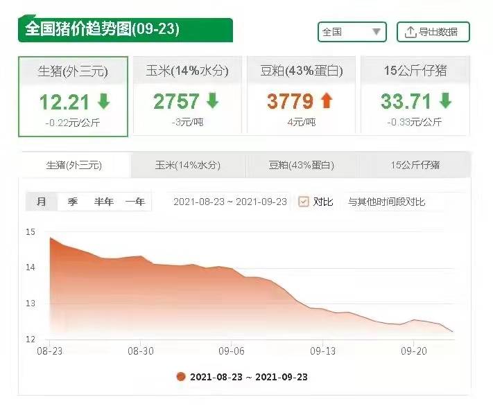 猪肉价格今日一斤走势分析