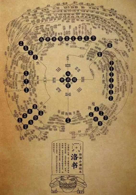 黄金叶天尊——神秘的植物之王