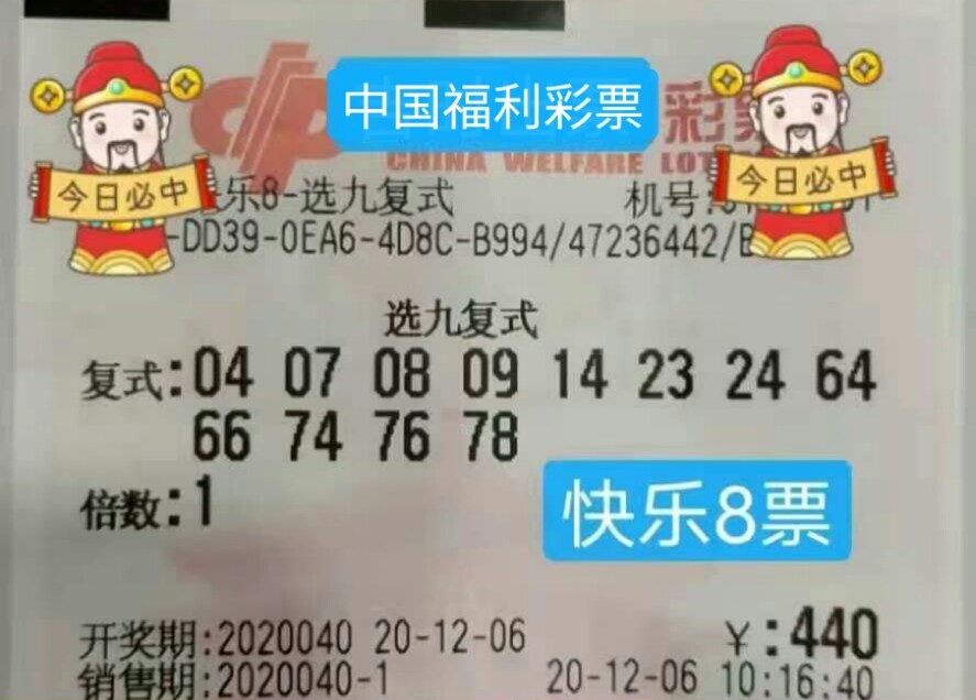 今晚体育彩票开奖揭秘，期待你的好运降临！—— 一次关于数字与梦想的探索之旅