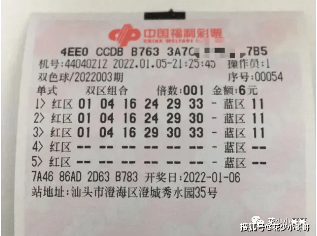 2013年双色球第XXX期开奖结果揭晓，大奖花落谁家？——以XXXX为例的深度解析与回顾文章！