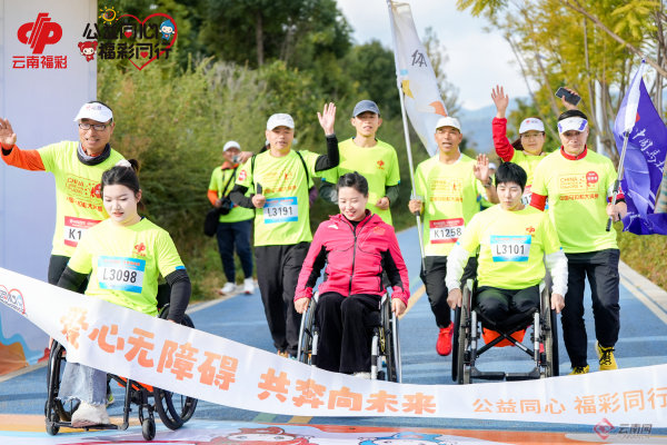 香港马会2019年开奖结果历史记录回顾与解析—赛马的魅力之旅程再现！