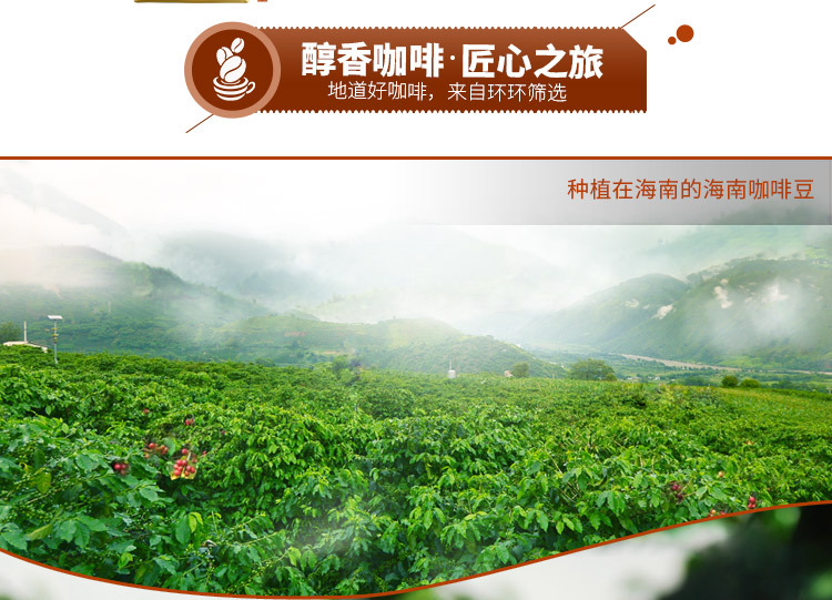 南国咖啡，浓郁香醇的热带风情
