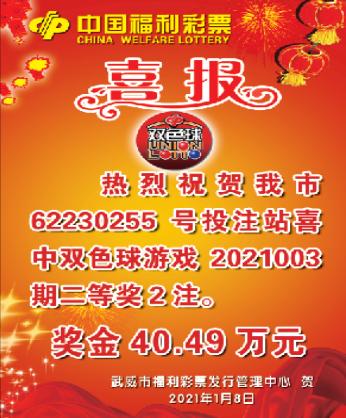 中国福利彩票双色球中奖说明，揭秘幸运背后的规则与机遇共存的世界！——以数字和故事为钥匙开启你的财富之门。