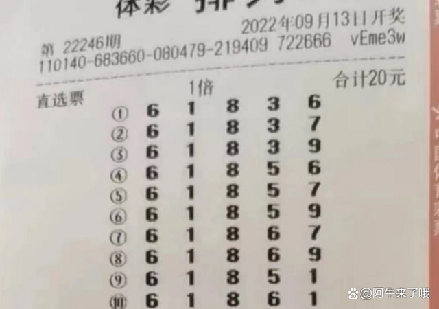 体彩6 1开奖号码查询结果解析与探讨
