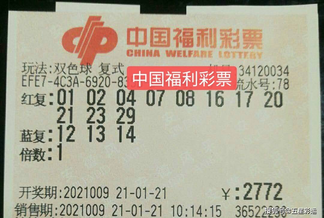 2017年双色球第5期与梦想的邃密交集——揭秘开奖结果背后的故事和数字魅力！