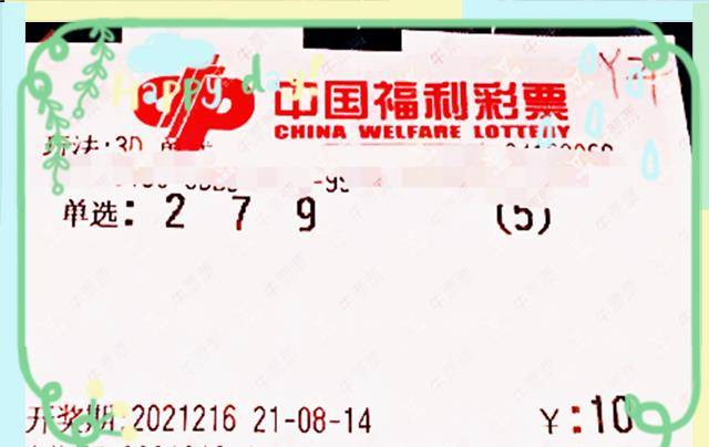 中国福建福利彩票官方网站，公益与梦想的桥梁纽带分析报告