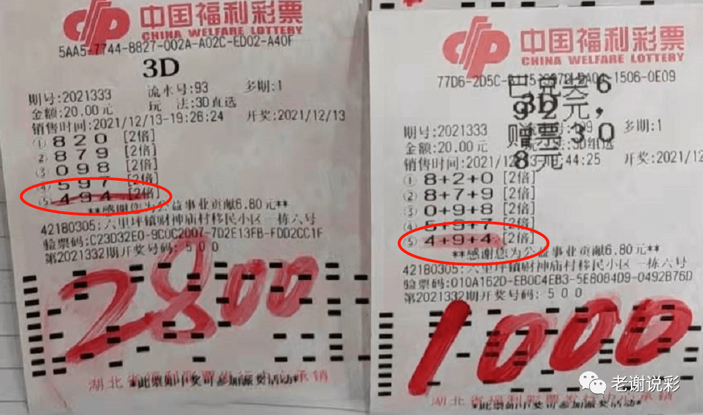体彩七星彩票池的魅力与奥秘