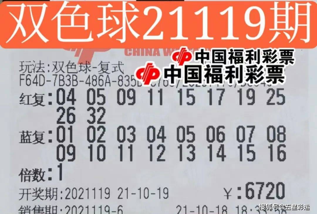 双色球23104期开奖结果揭晓，彩民期待与惊喜并存！—— 一次彩票的魅力之旅分析报告