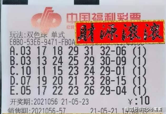 2031期双色球揭秘与数字背后的奥秘
