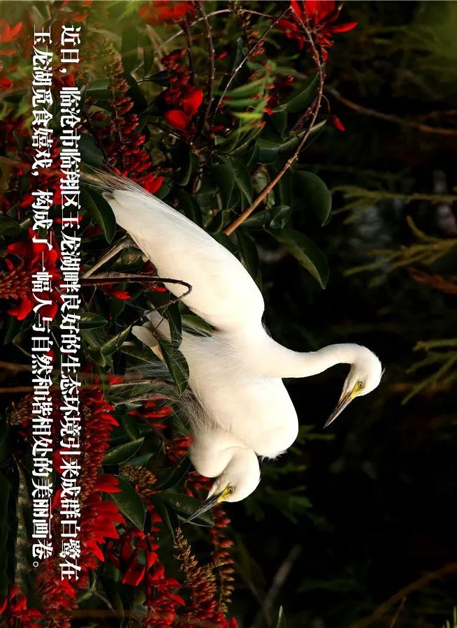 家彩网3D今日开机号详解与预测