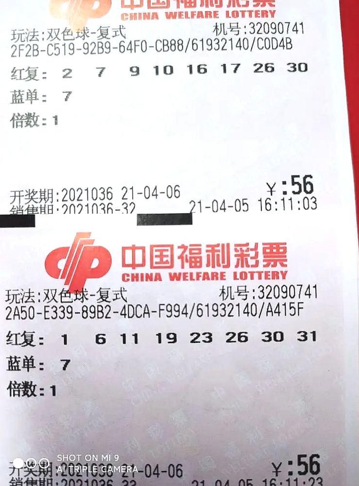双色球第48期开奖结果揭晓，探寻幸运的奥秘