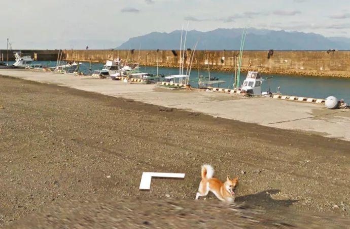 街景地图——探索城市的新视角