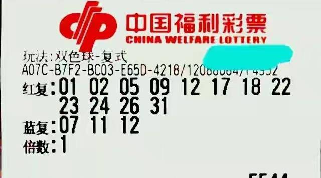 彩牛网开奖结果揭秘，数字背后的幸运与期待！—— 一次深度解析的探索之旅