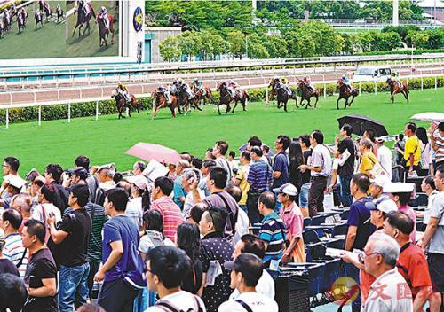 香港马会资料概览，历史、赛事与数据解析港香六个彩今期资料