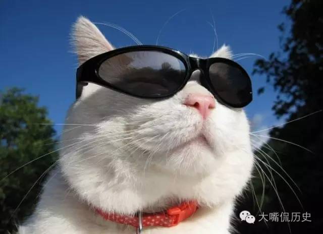 追溯历史，揭开管家婆婆生肖图的神秘面纱。1.管家婆一马中特马