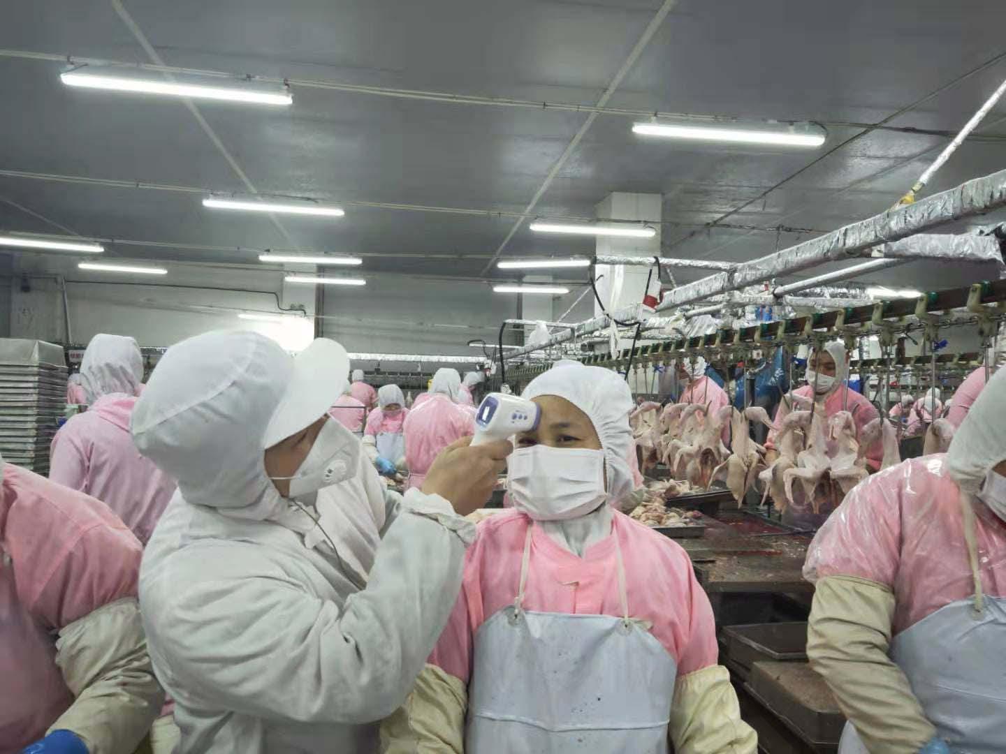 六和采开奖结果揭秘与解析
探索数字背后的奥秘之旅！在彩民的眼中，每一次的开出的六合大乐透 开讲6和彩开奖结果官方