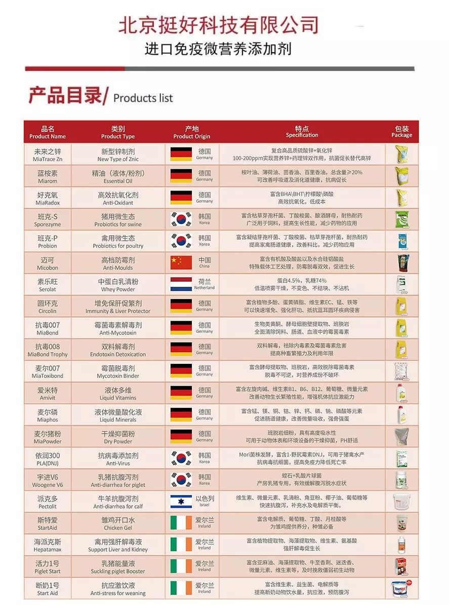 澳门码开奖记录与数据分析（2019-至今）探索数字背后的奥秘之旅！文章内容，2020澳门码开奖记录九月份