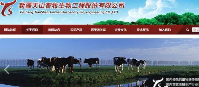 文章内容2023澳门资料大全免费下载山青水绿属什么动物