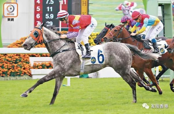 香港2021年开奖纪录