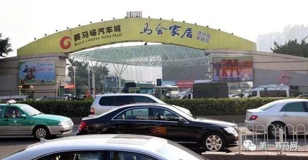 20XX年香港马会今期开奖结果揭秘与解析—赛马的魅力及影响分析报告