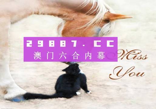 澳门49四九资料免费大全，探索与解析的深度之旅澳门4949资料免费大全苹果手机版