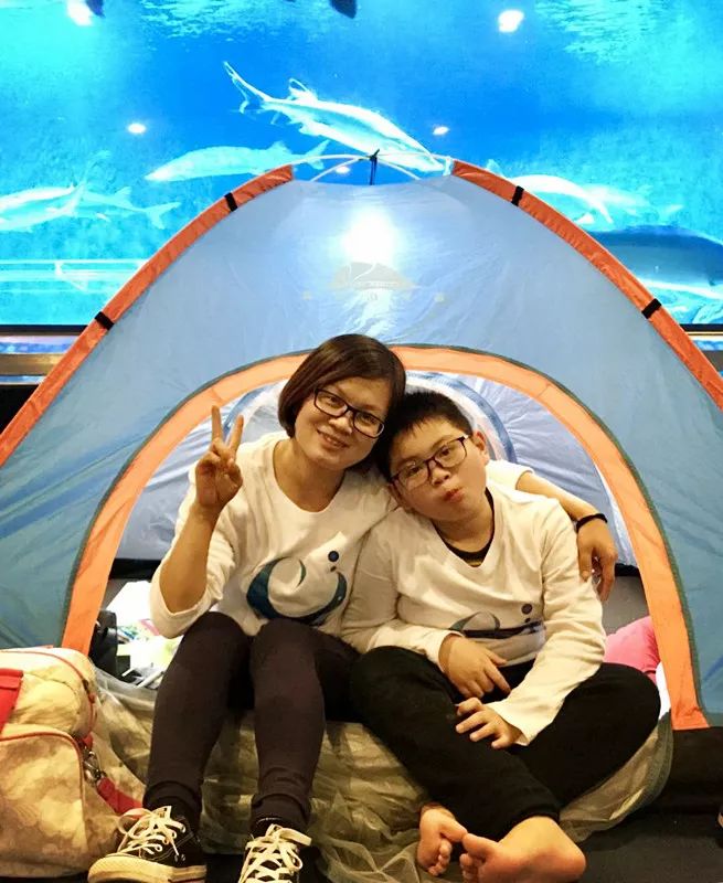 小鱼儿心水论坛，探索与交流的海洋世界之门扉开启记事录小鱼l儿心论坛