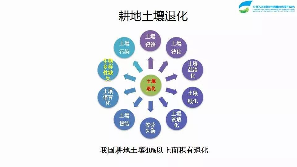 丰富多样的主题分类2023澳门资料免费大全下载金木水火土