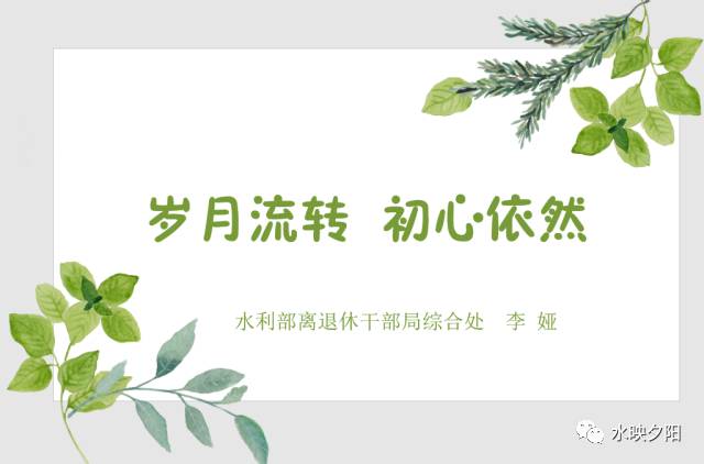 梅管家纪事，岁月流转中的家族故事—关键词梅花与家之传承的交织篇章梅管家纪事是不是坑了