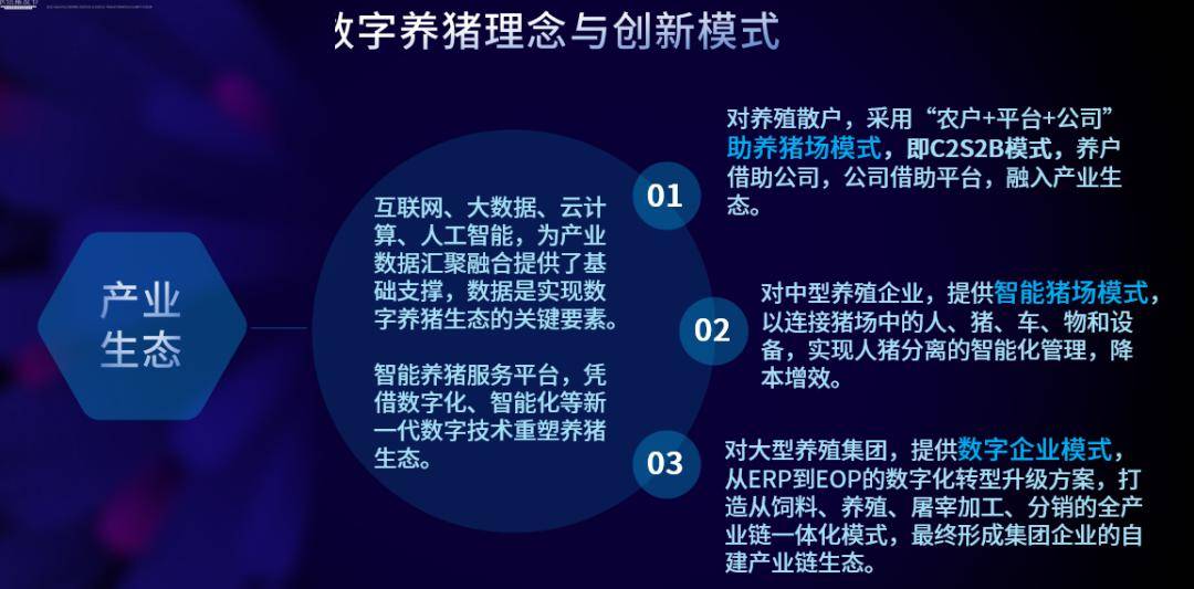 94cc天下彩资料大全，探索数字背后的精彩世界与策略指南！天下彩944cc资料246开