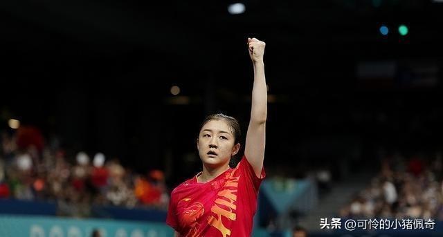 20XX年澳门图片资料概览，城市风貌与文化魅力交织的瑰宝之地2024年澳门图片资料一