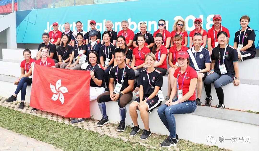 2019年马会正版资料解析与运用策略分析报告，开启智慧投注之旅的钥匙！2020年正版马会全年资料小说