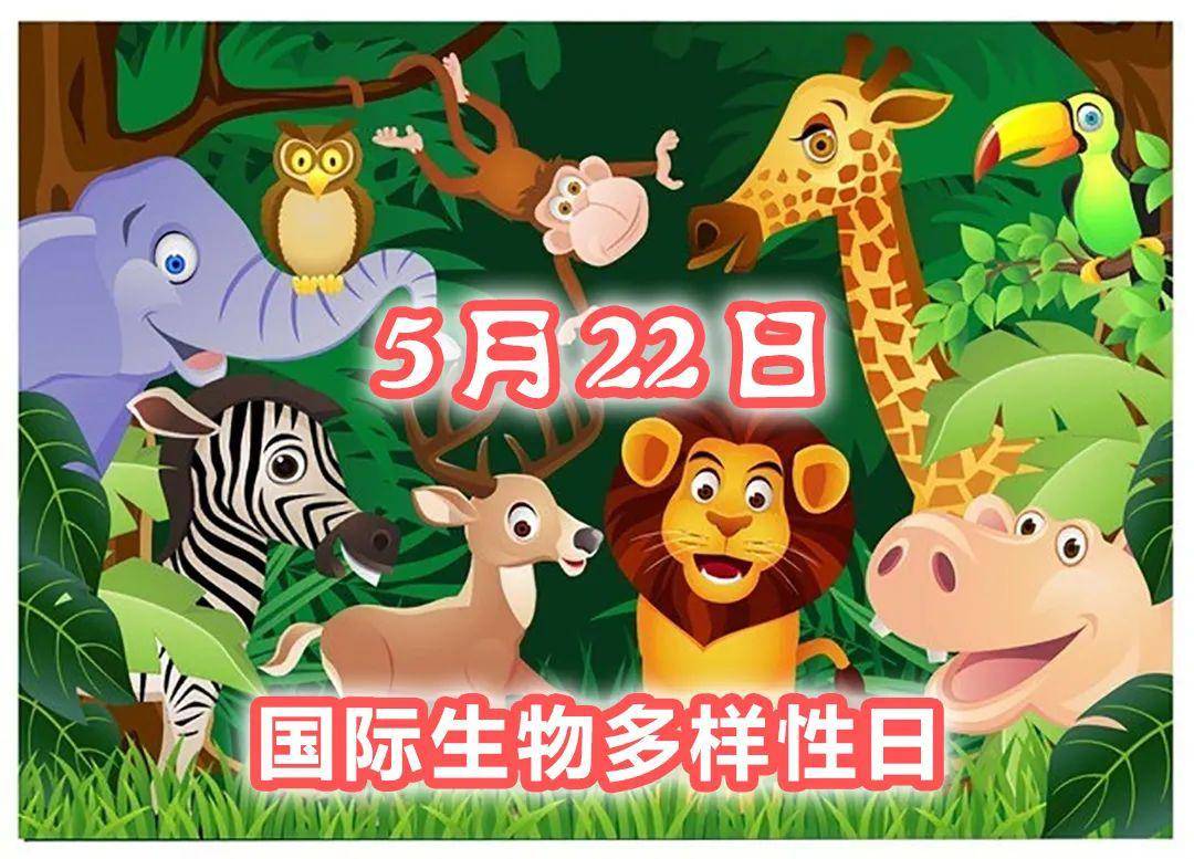 探索小鱼儿主页的奇妙世界小鱼儿主页最近域名请记住ok1961192.168.0.1