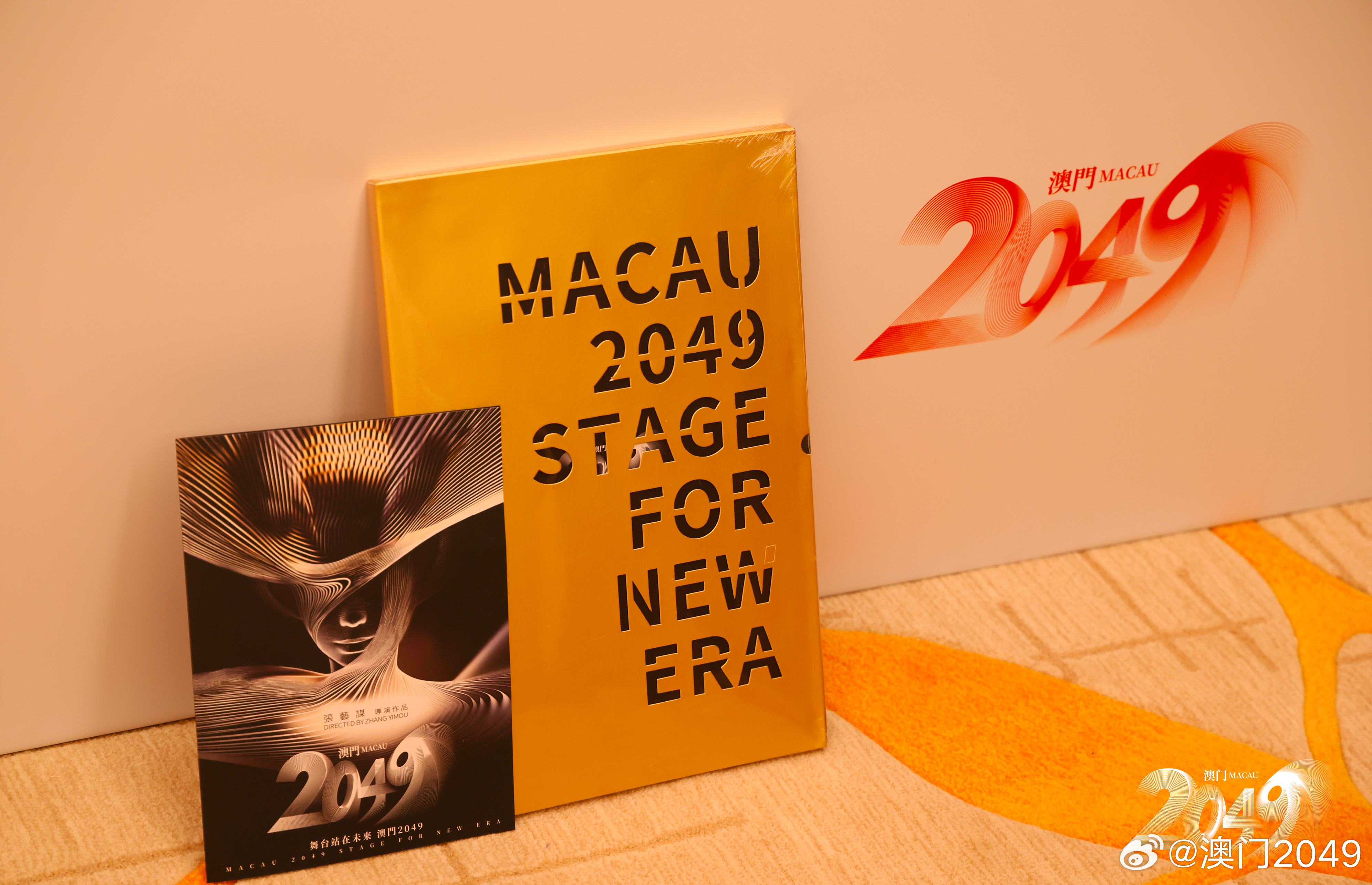 新澳门2046年开码揭秘，今晚的公开盛宴与期待中的惊喜！一、文章开头部分（约158字）新澳门2024今晚开码公开248期