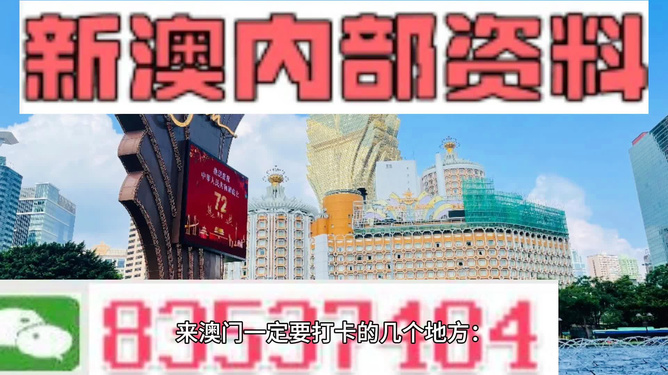 204新澳彩料免费资料，探索与解析的双重机遇之旅分析报告澳门新彩