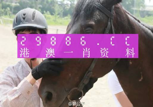 联系我们 第142页