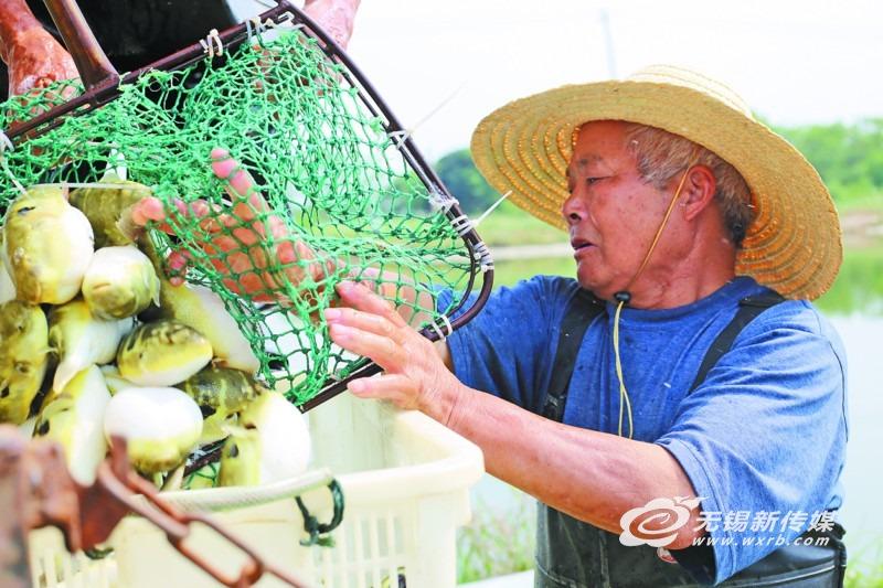 246特彩，免费天下彩票资料，助你掌握运势新篇章！探索数字背后的奥秘与机遇共存的世界。246特彩天下彩免费资料944cc