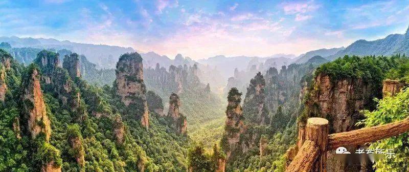 职业选择 第133页