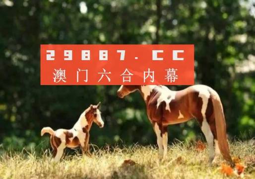 澳门正版49图库资料免费，探索与分享的双重魅力之旅49澳门彩图库app已全新上线
