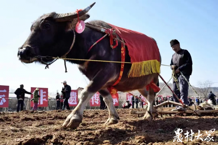 香港王四不像图—传统文化的独特魅力
strong>一、引言香港王四不像图九龙
