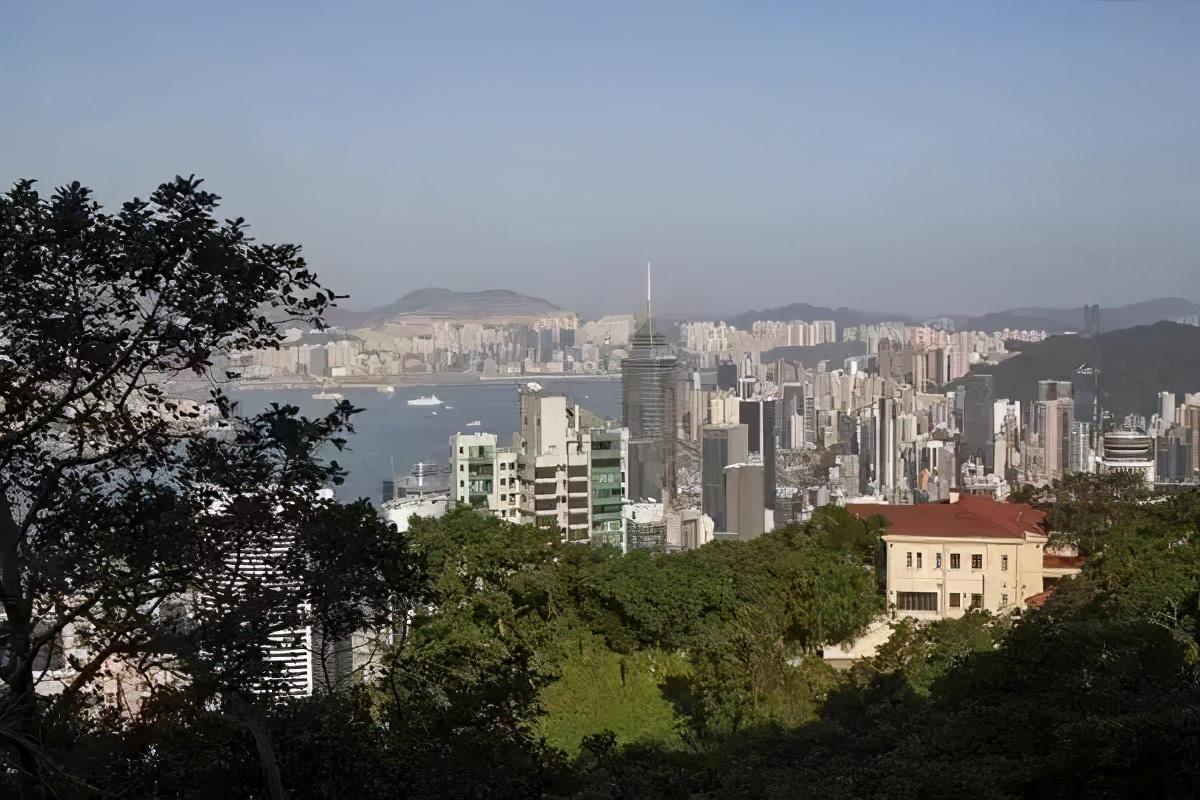香港本港免费资料大全，全面解析与实用指南香港本港免费资料大全网站