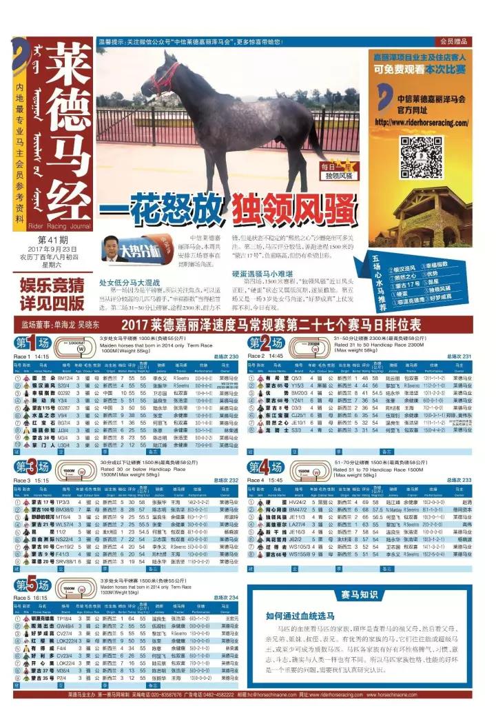 正版马会传真资料，专业、可靠与实用性的综合指南正版马会传真资料+内部