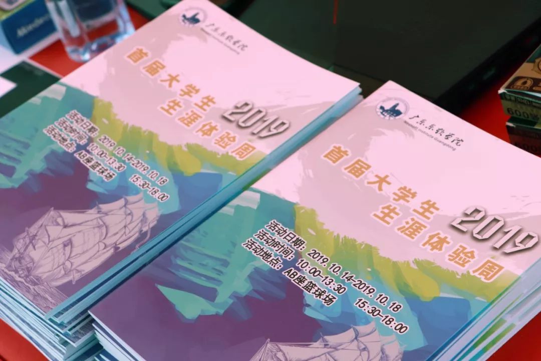 2019年六开彩历史记录，回顾与展望的旅程分析报告2019六开彩开奖记录图