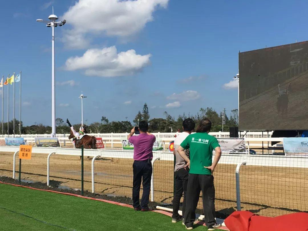香港马会开奖直播，赛马的魅力与实时体验新篇章香港马 会开奖结果新闻