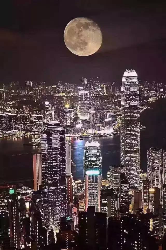 2023香港最准资料篮月亮