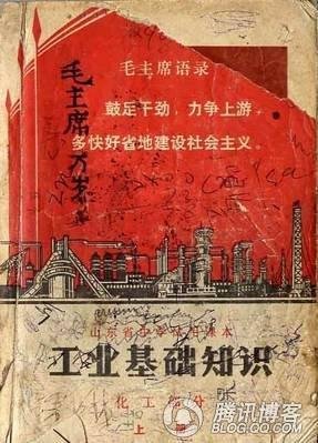 山川皆无恙 第42页