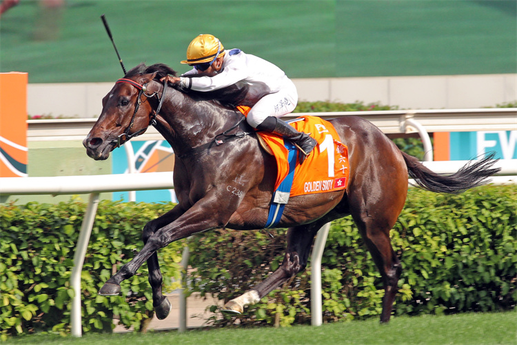 2019香港马会全年资料大全，赛驹风采与赛事概览一网打尽！香港2020马会资料