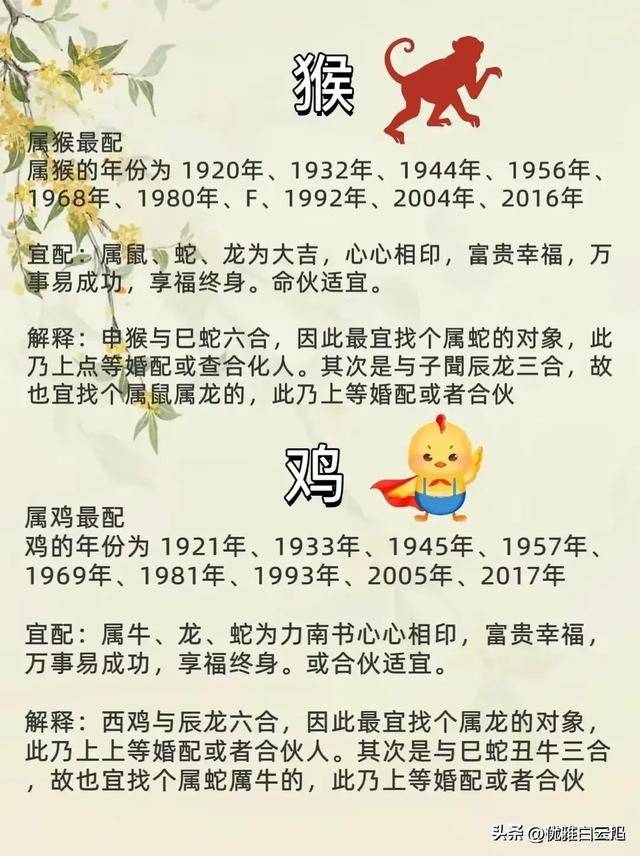 2034澳门正版资料生肖卡，探索与解读的旅程分析文章标题及内容建议稿件2021年澳门资料表图十二生肖